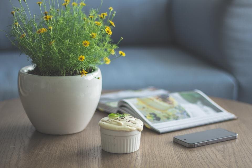 Ceramic Plant Pot